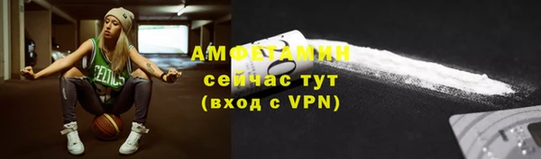 стаф Шадринск