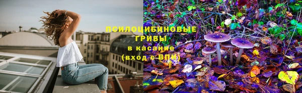 ПСИЛОЦИБИНОВЫЕ ГРИБЫ Щёлкино