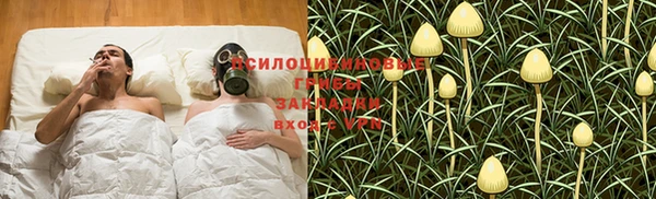 ПСИЛОЦИБИНОВЫЕ ГРИБЫ Щёлкино