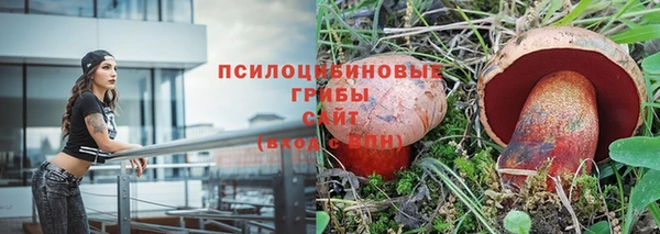 ALPHA PVP Мегион