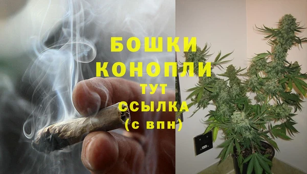ALPHA PVP Мегион