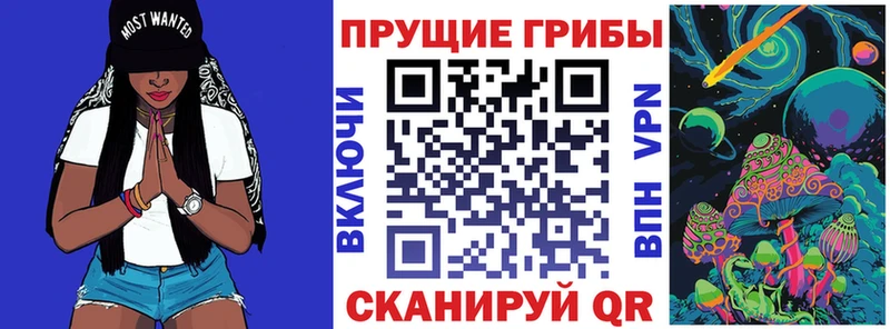 Псилоцибиновые грибы Cubensis  Волоколамск 